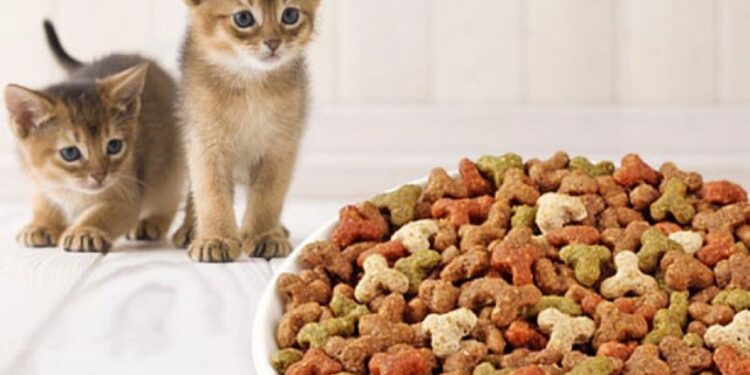 ingredients make good cat food