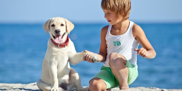 Small Dogs For Children