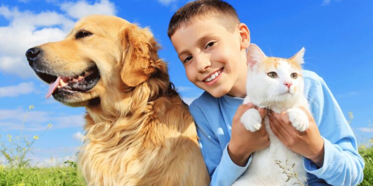 Take Care Of Pets