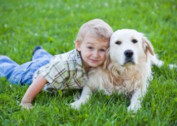 The Best Dog Breeds For Children