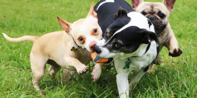 Enjoying Fall Festivities