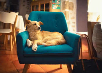 Post-Surgery Recovery