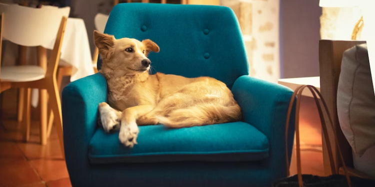 Post-Surgery Recovery