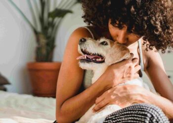 Pet Proofing Your Home and Outdoor