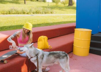 Dog Boarding Facilities