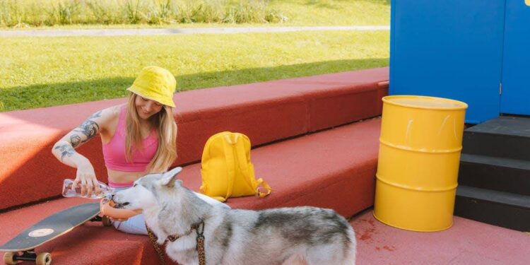 Dog Boarding Facilities