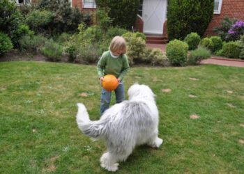 Lawn Green as a Dog Owner