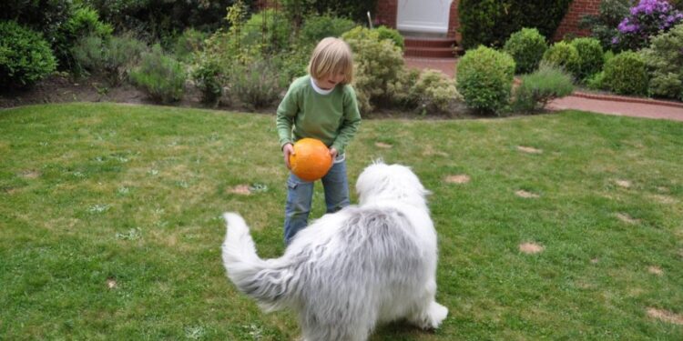 Lawn Green as a Dog Owner