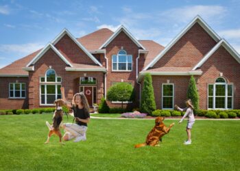 Effective Dog Training Tips