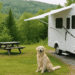 pet friendly rv travel