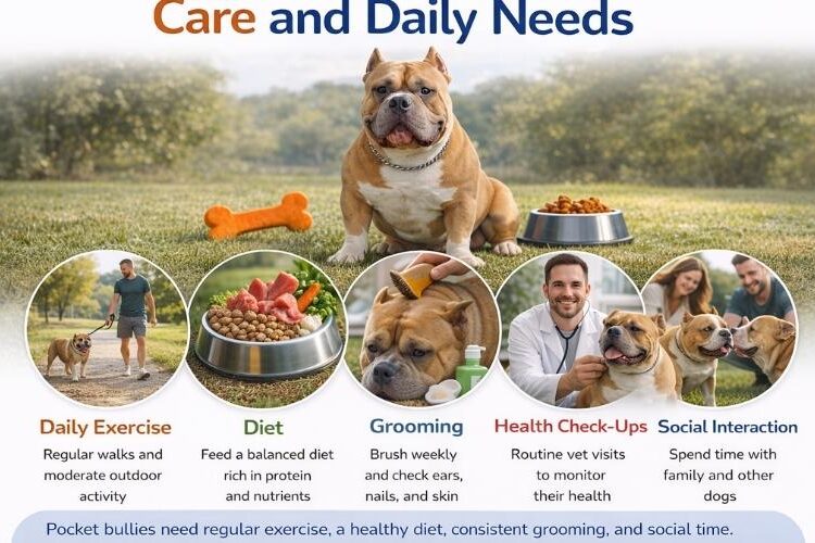 Care and Daily Needs